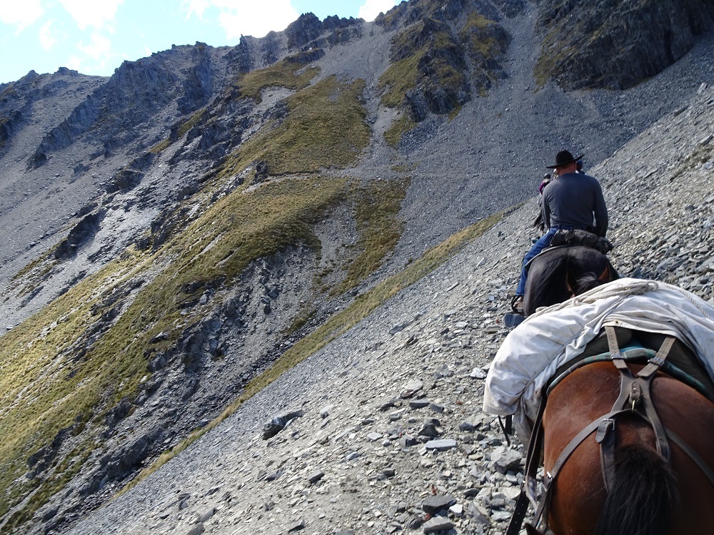 Musterers Mountain Pack Trail