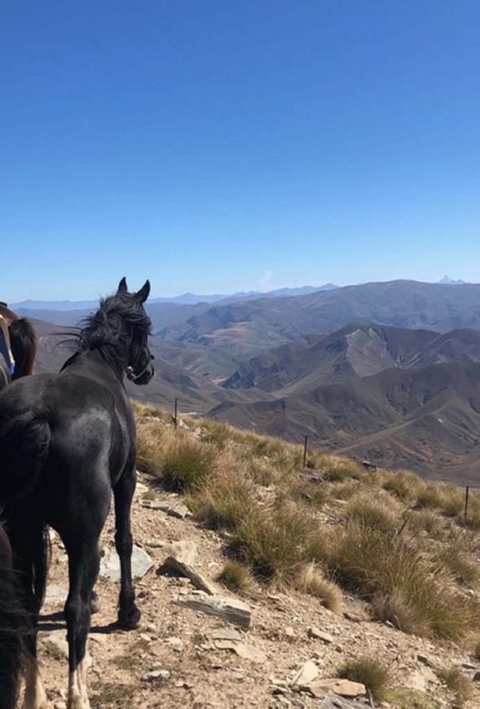 cloudy at 6000 feet enjoying the view Horseback Holiday NZ AHTNZ