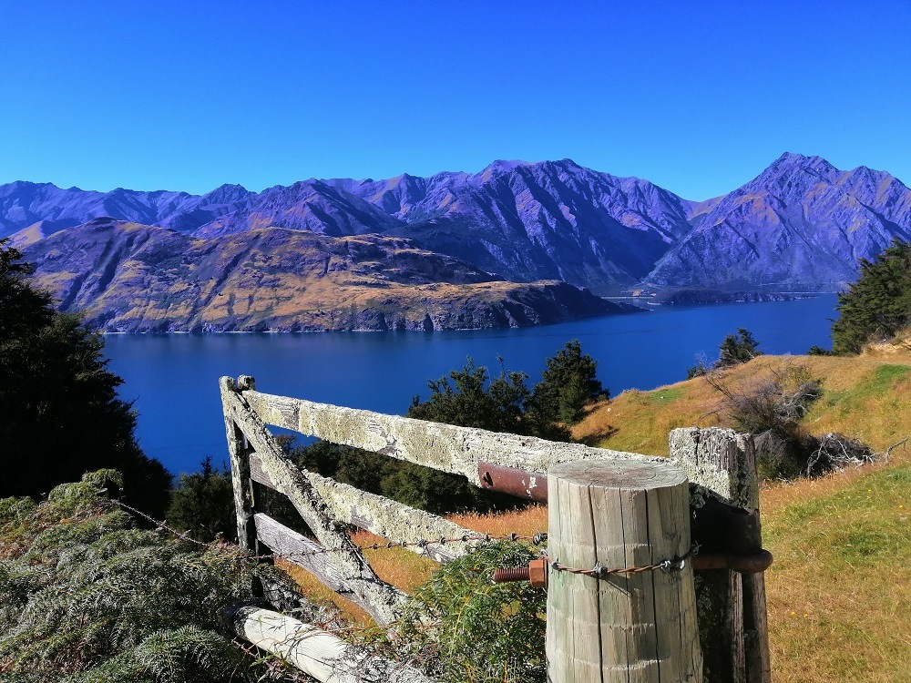 Lake Hawea Hunter River Ride Adventure Horse Trekking nz