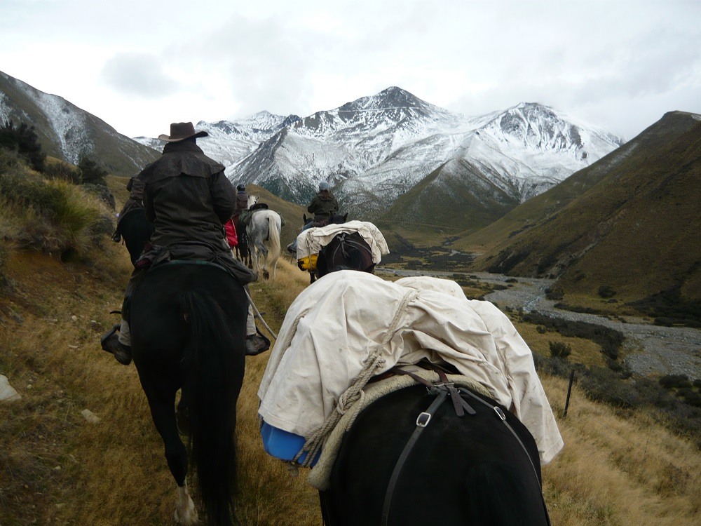 Murray and Pack Horse heading into the mountain snow