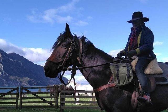 Adventure Horse Trekking NZ_Thistle_NZ South Island