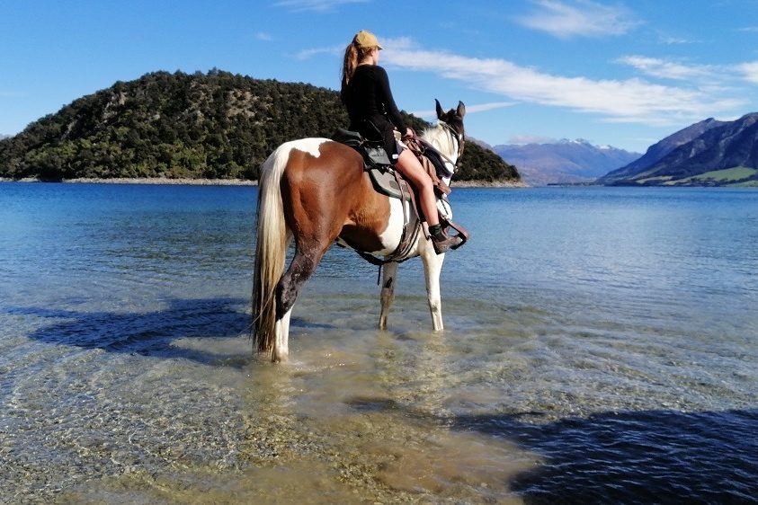 Horseback Adventures Lake Hawea NZ