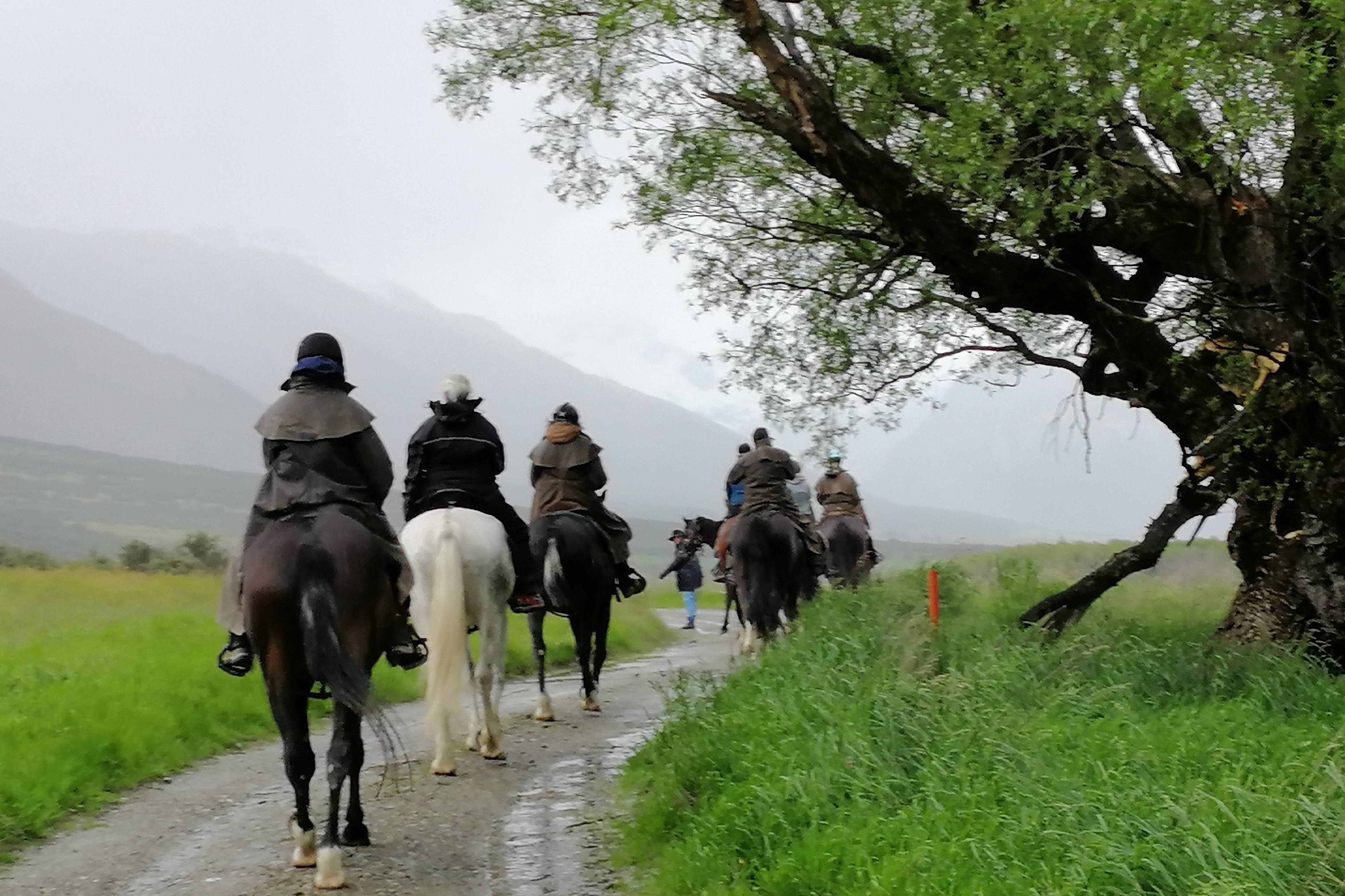 Challenging Horseback Riding Trails: Stories of Adventure