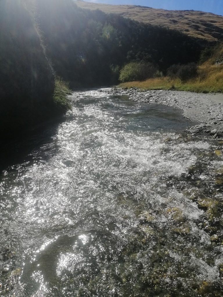 Gold in the River NZ South Island 