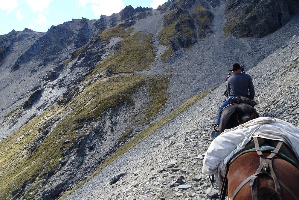 Musterers Mountain Pack Trail