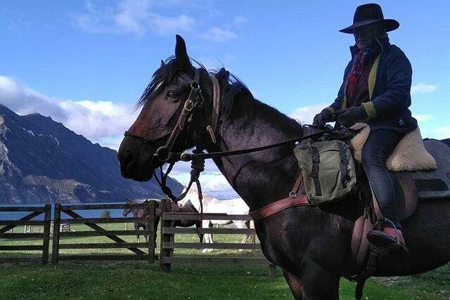 Adventure Horse Trekking NZ_Thistle_NZ South Island