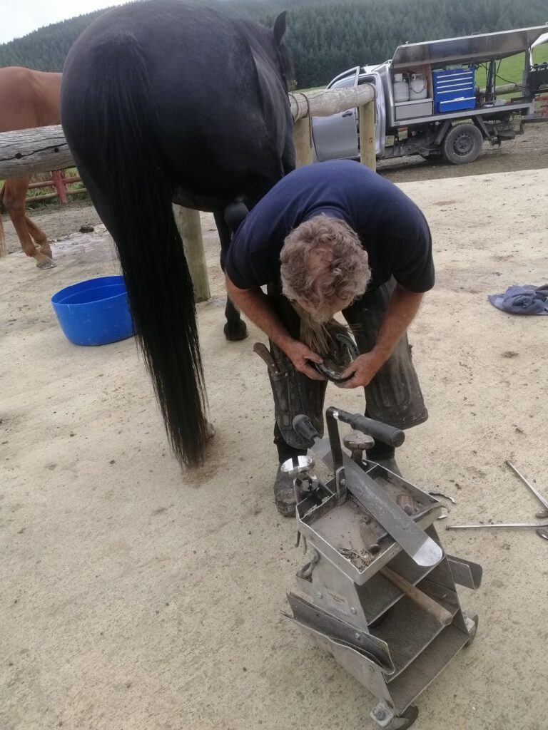 Farrier Day