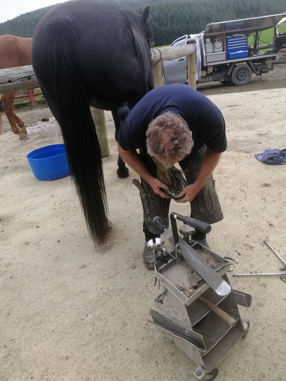 Farriers Adventure Horse Trekking