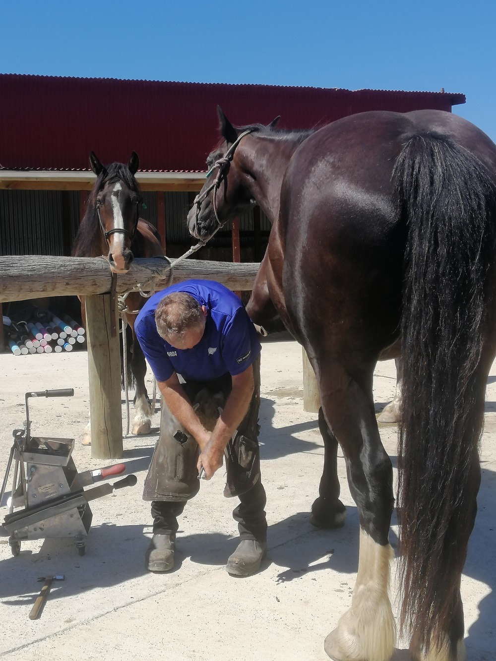 Farriers Adventure Horse Trekking