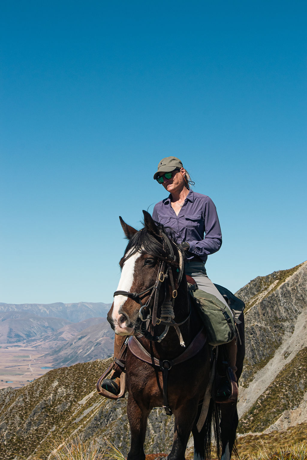Adventure horse Chinook on trail in New Zealand South Island