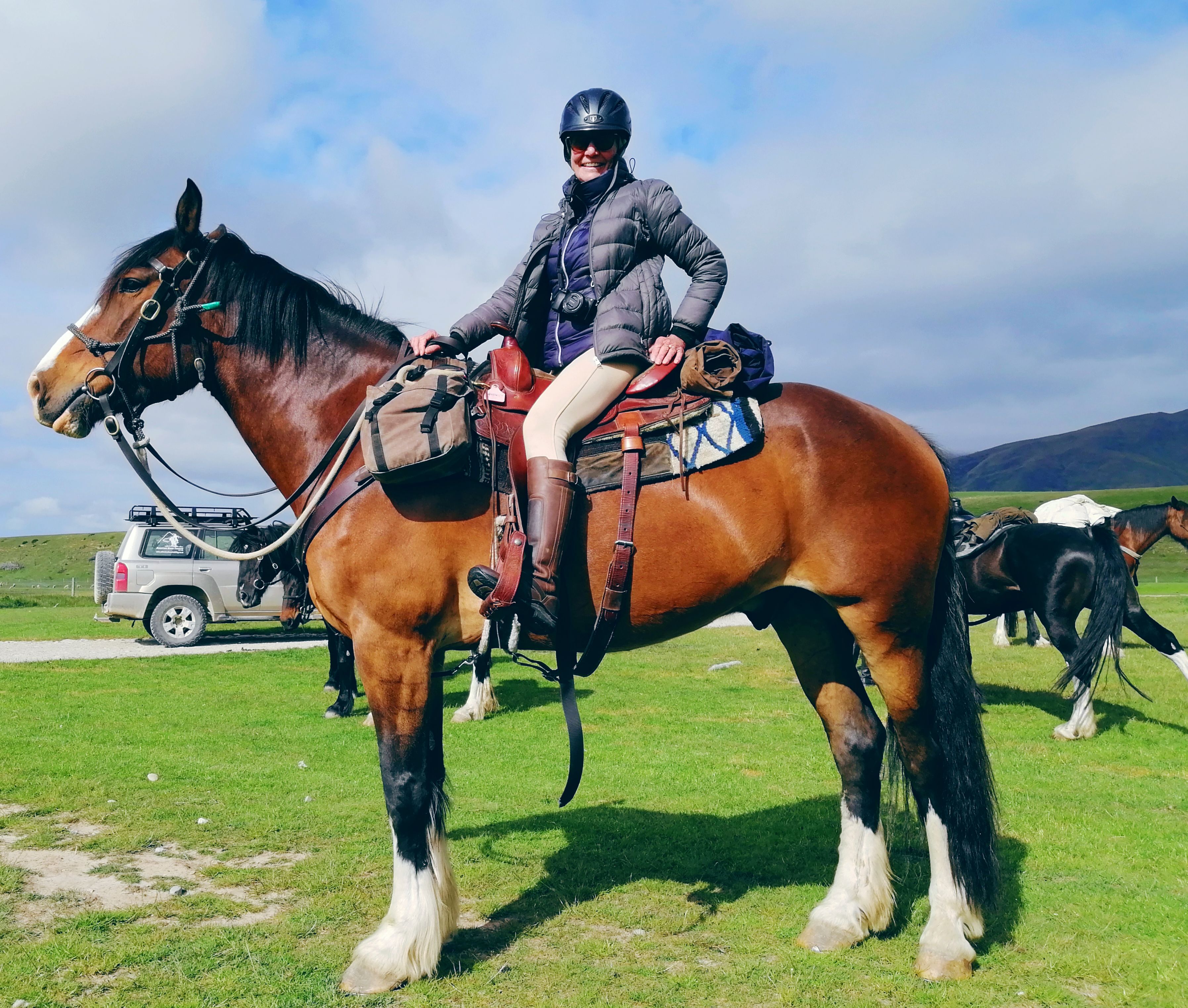 Adventure Horse Hank the Tank on trail NZ South Island