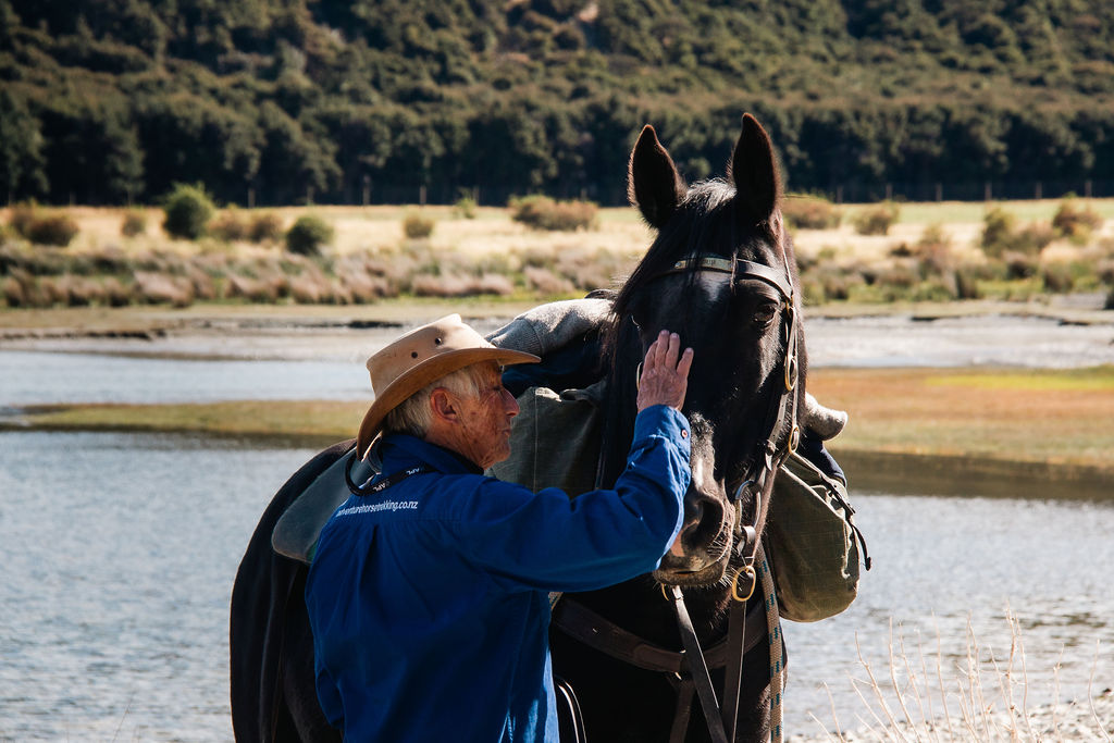 Get to know your horse