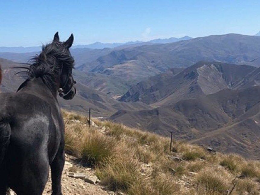 Adventure_Horse_Trekking_Cloudy - Adventure Horse Trekking