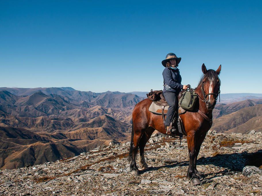 Kōwhai - Adventure Horse Trekking Kōwhai