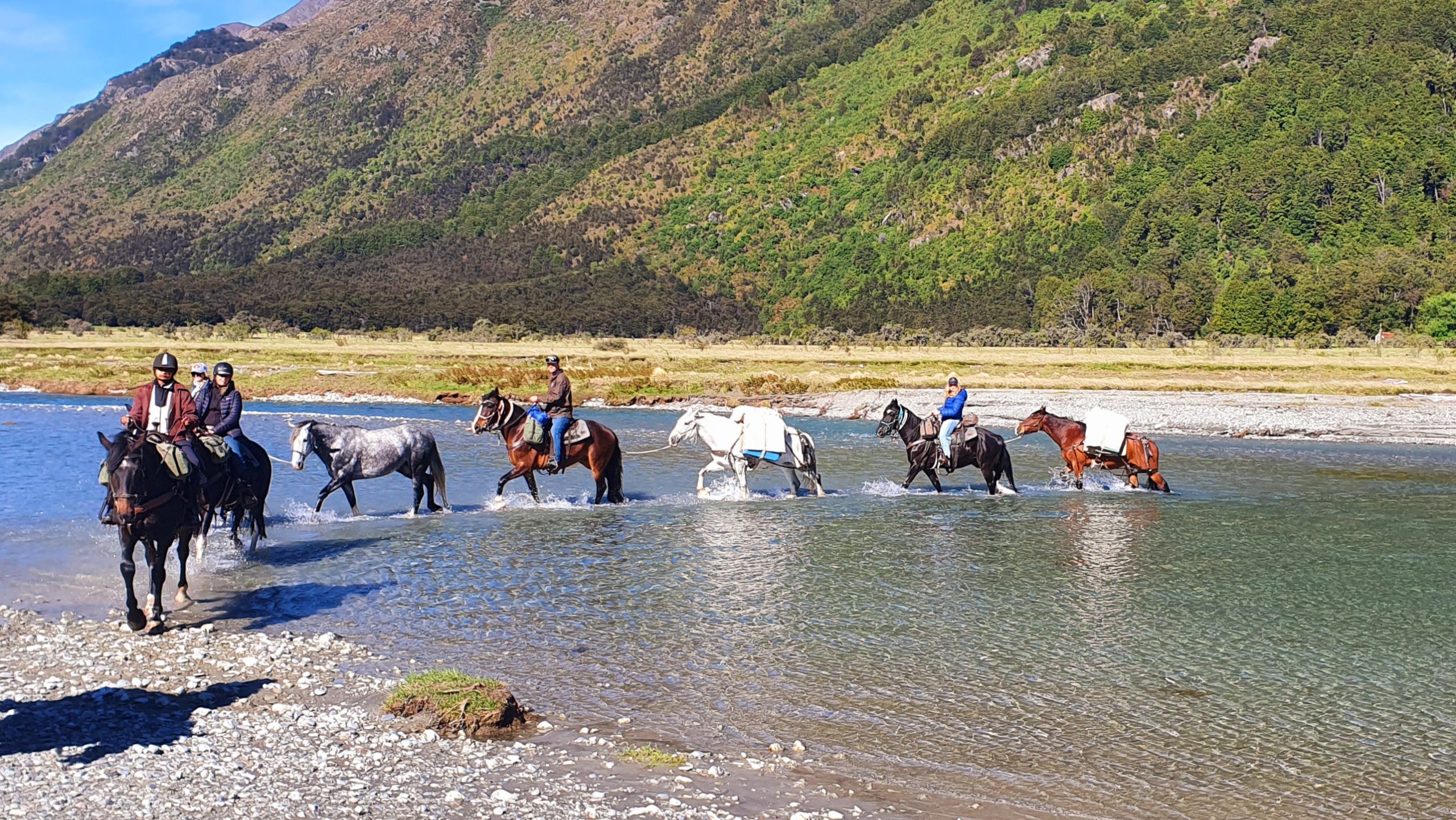 Hawea44 - Adventure Horse Trekking NZ - Adventure Horse Trekking NZ