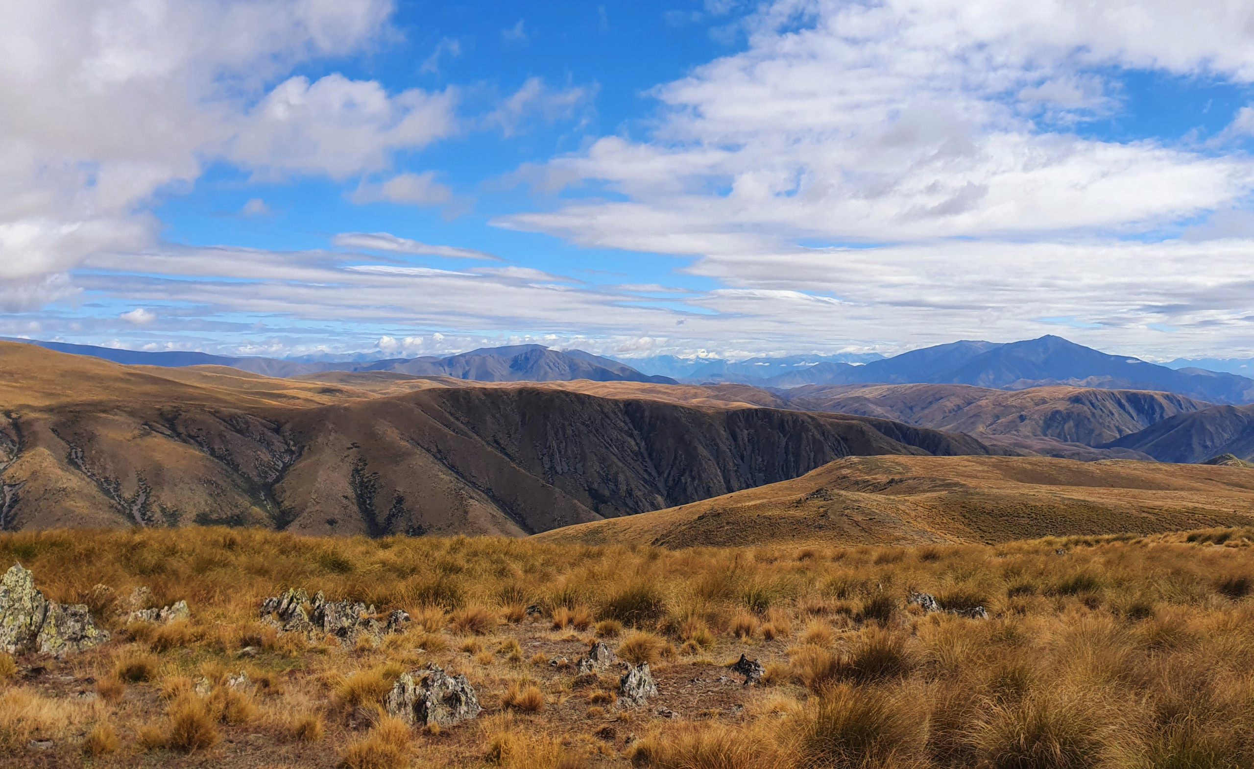 Otematata10 - Adventure Horse Trekking NZ - Adventure Horse Trekking NZ