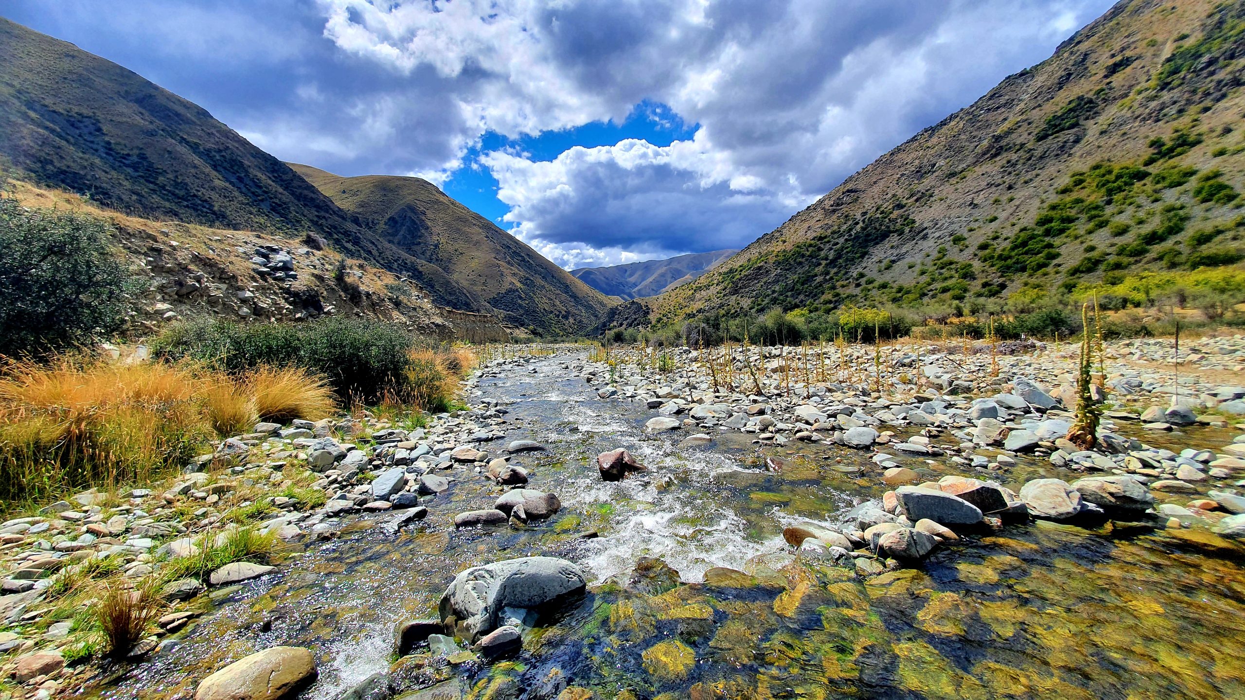 Otematata13 - Adventure Horse Trekking NZ - Adventure Horse Trekking NZ