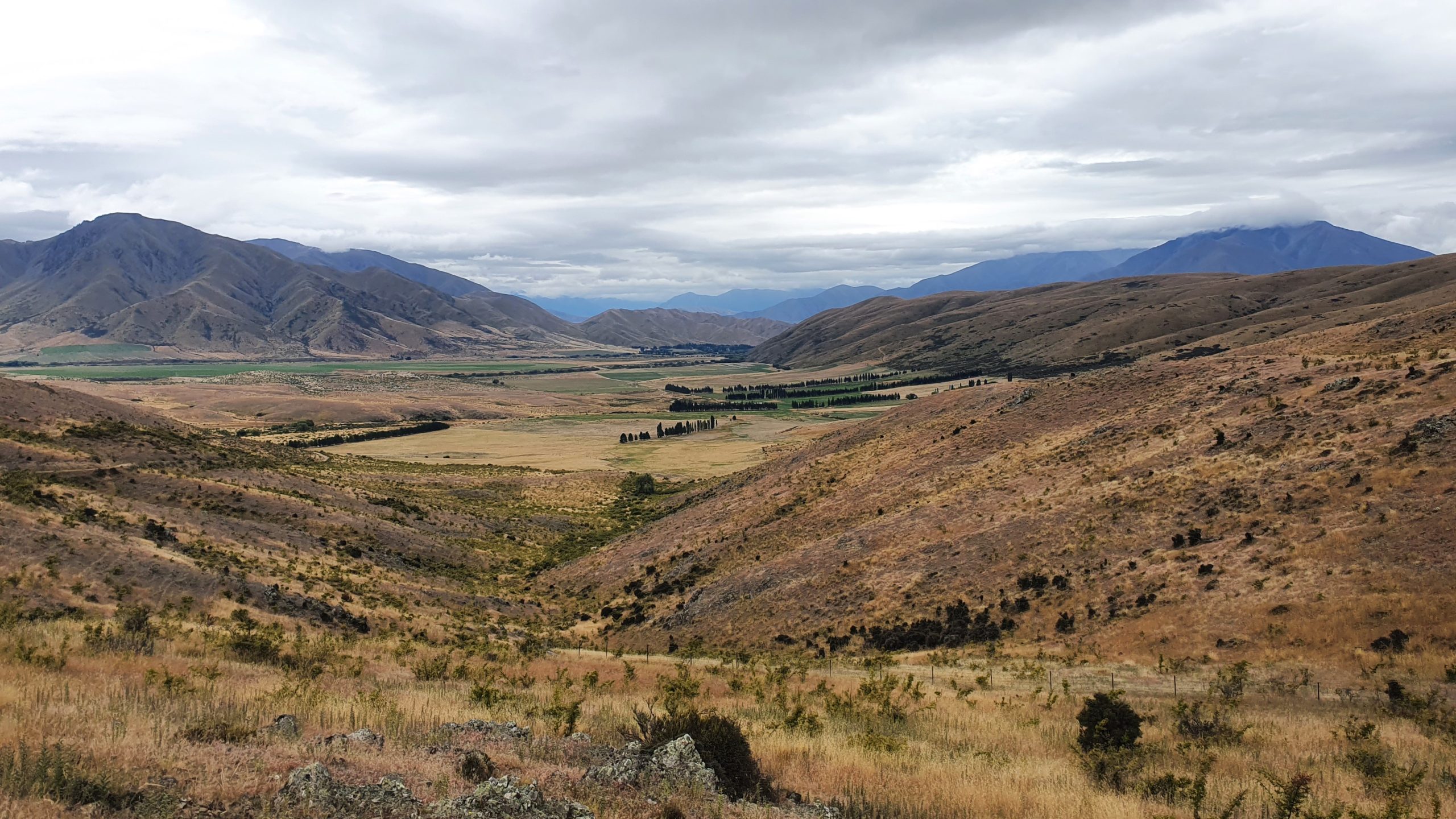 Otematata2 - Adventure Horse Trekking NZ - Adventure Horse Trekking NZ
