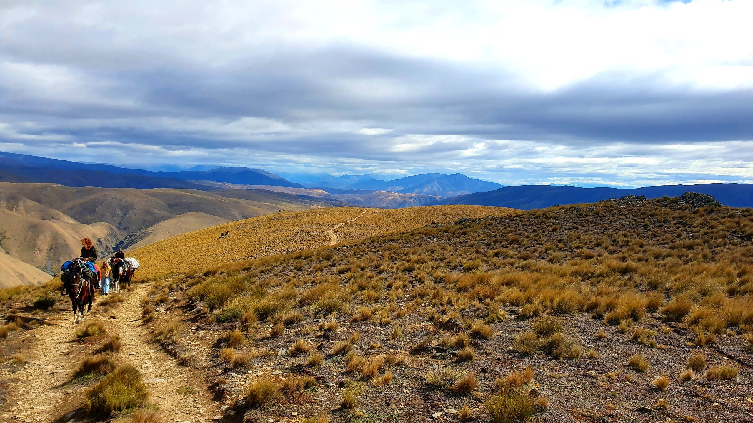 Otematata25 - Adventure Horse Trekking NZ - Adventure Horse Trekking NZ