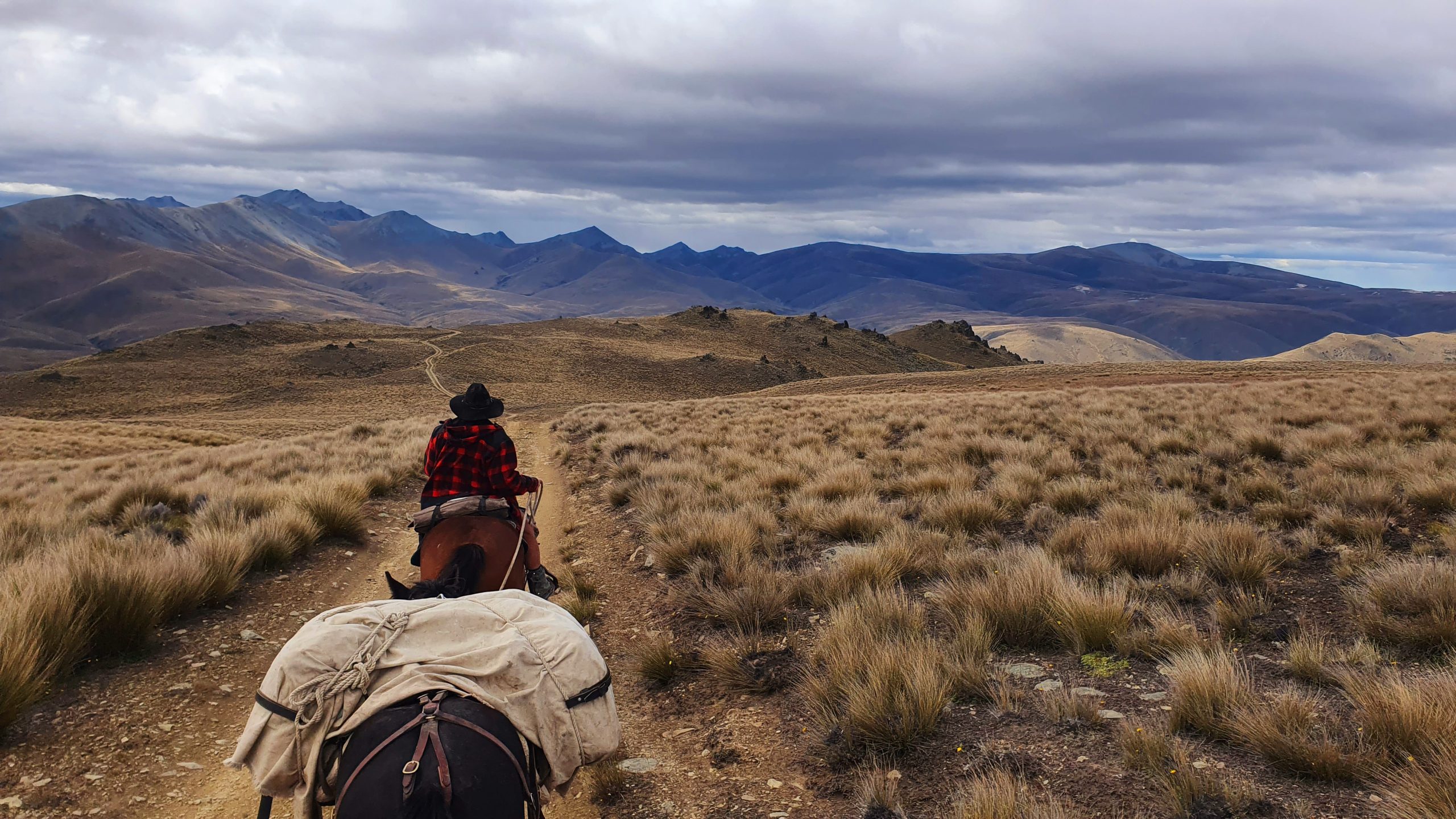 GrandTourOtematata26 - Adventure Horse Trekking NZ - Adventure Horse Trekking NZ