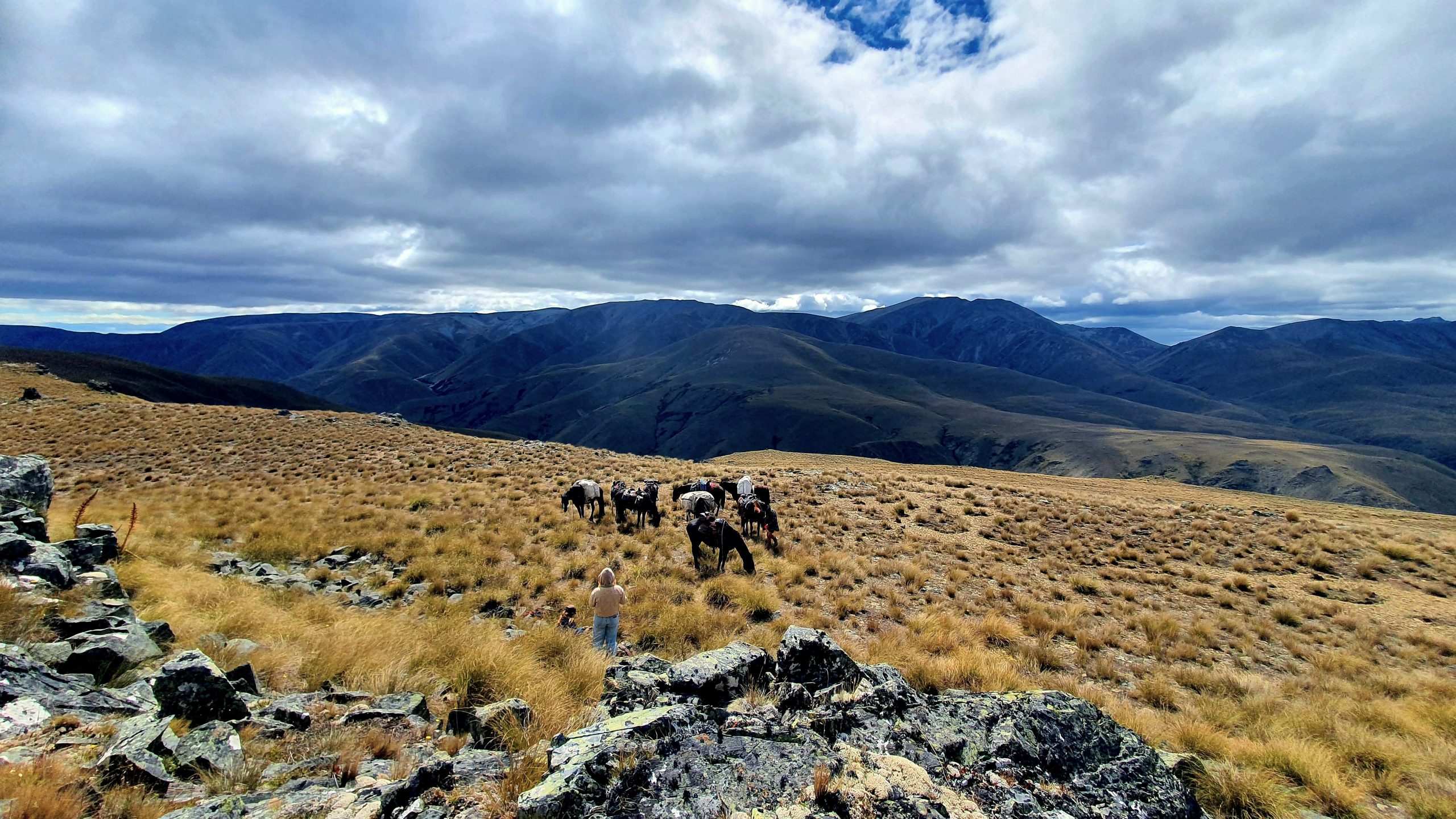 Otematata27 - Adventure Horse Trekking NZ - Adventure Horse Trekking NZ