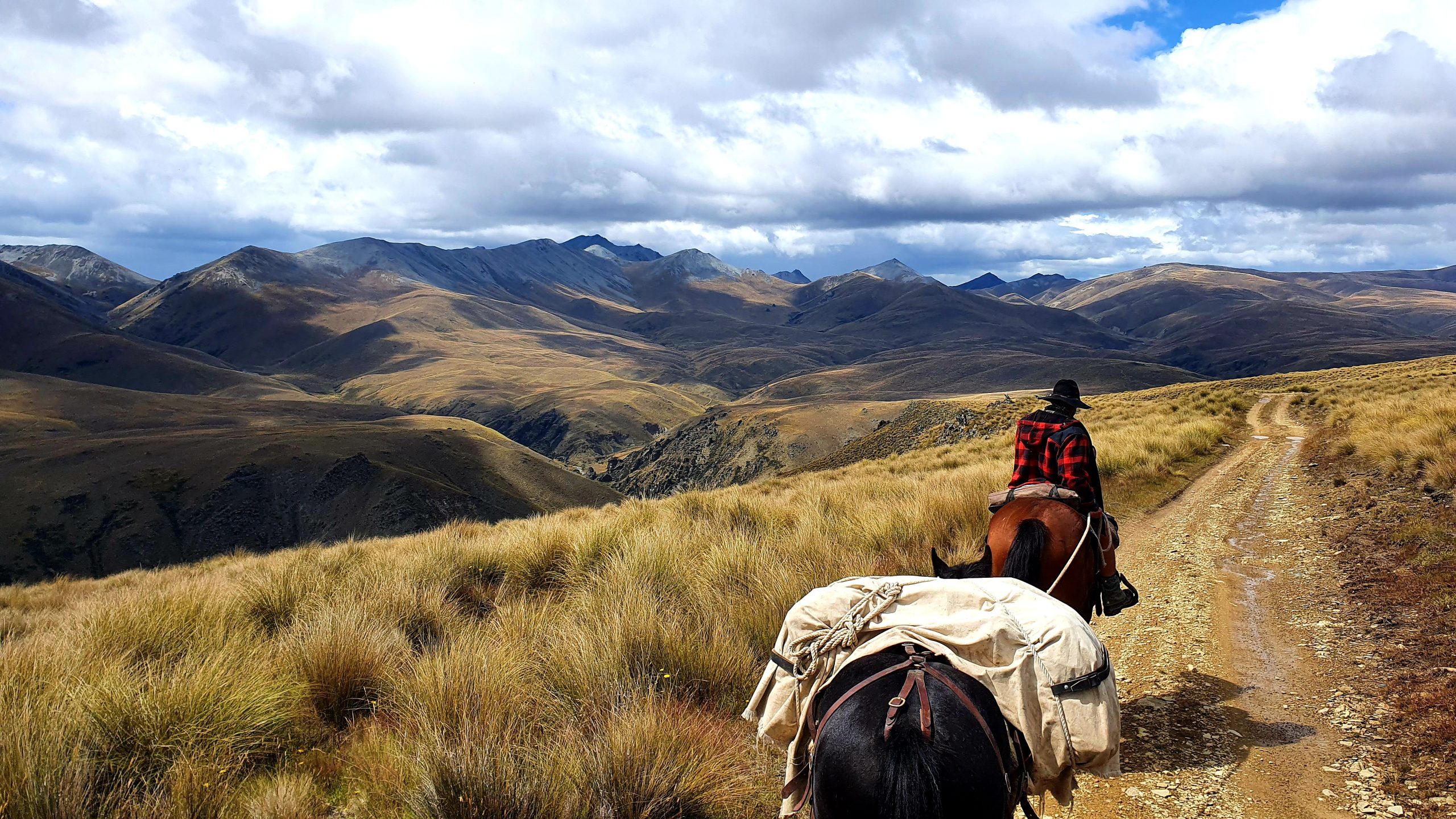 Otematata28 - Adventure Horse Trekking NZ - Adventure Horse Trekking NZ