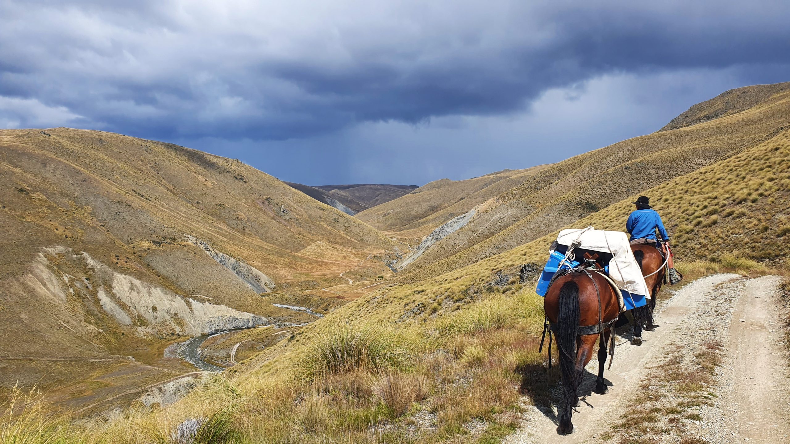 Otematata32 - Adventure Horse Trekking NZ - Adventure Horse Trekking NZ
