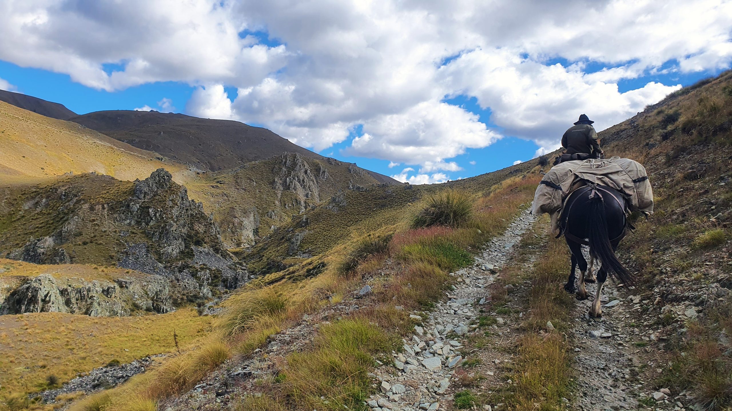 Otematata36 - Adventure Horse Trekking NZ - Adventure Horse Trekking NZ