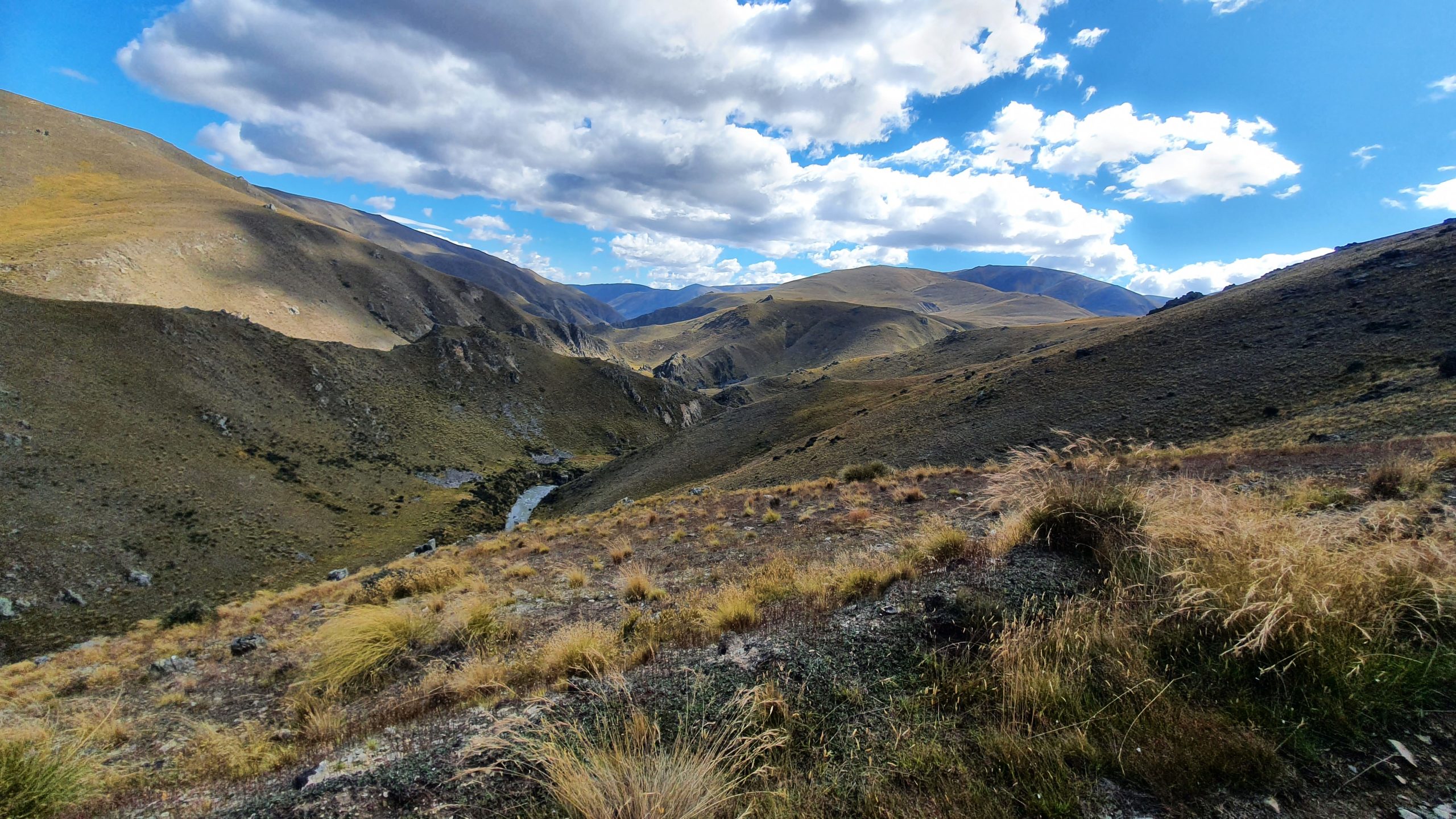 Otematata37 - Adventure Horse Trekking NZ - Adventure Horse Trekking NZ