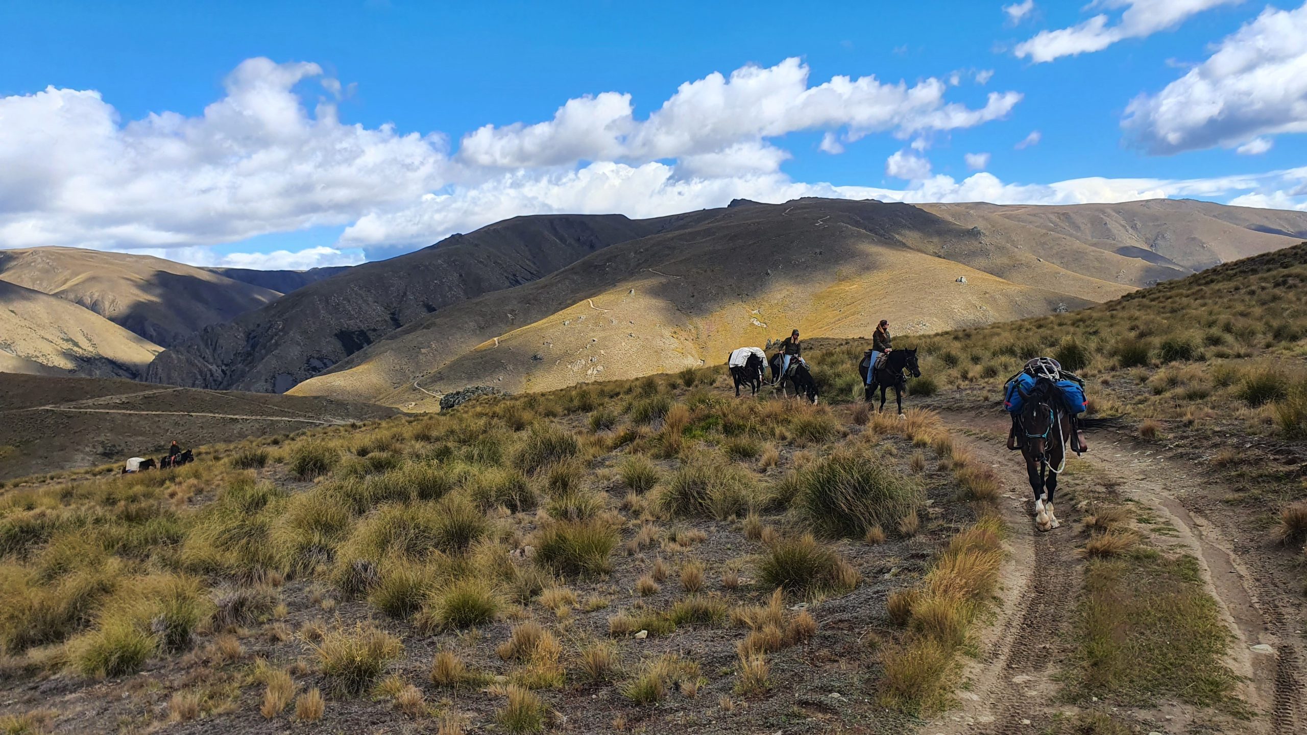 Otematata38 - Adventure Horse Trekking NZ - Adventure Horse Trekking NZ