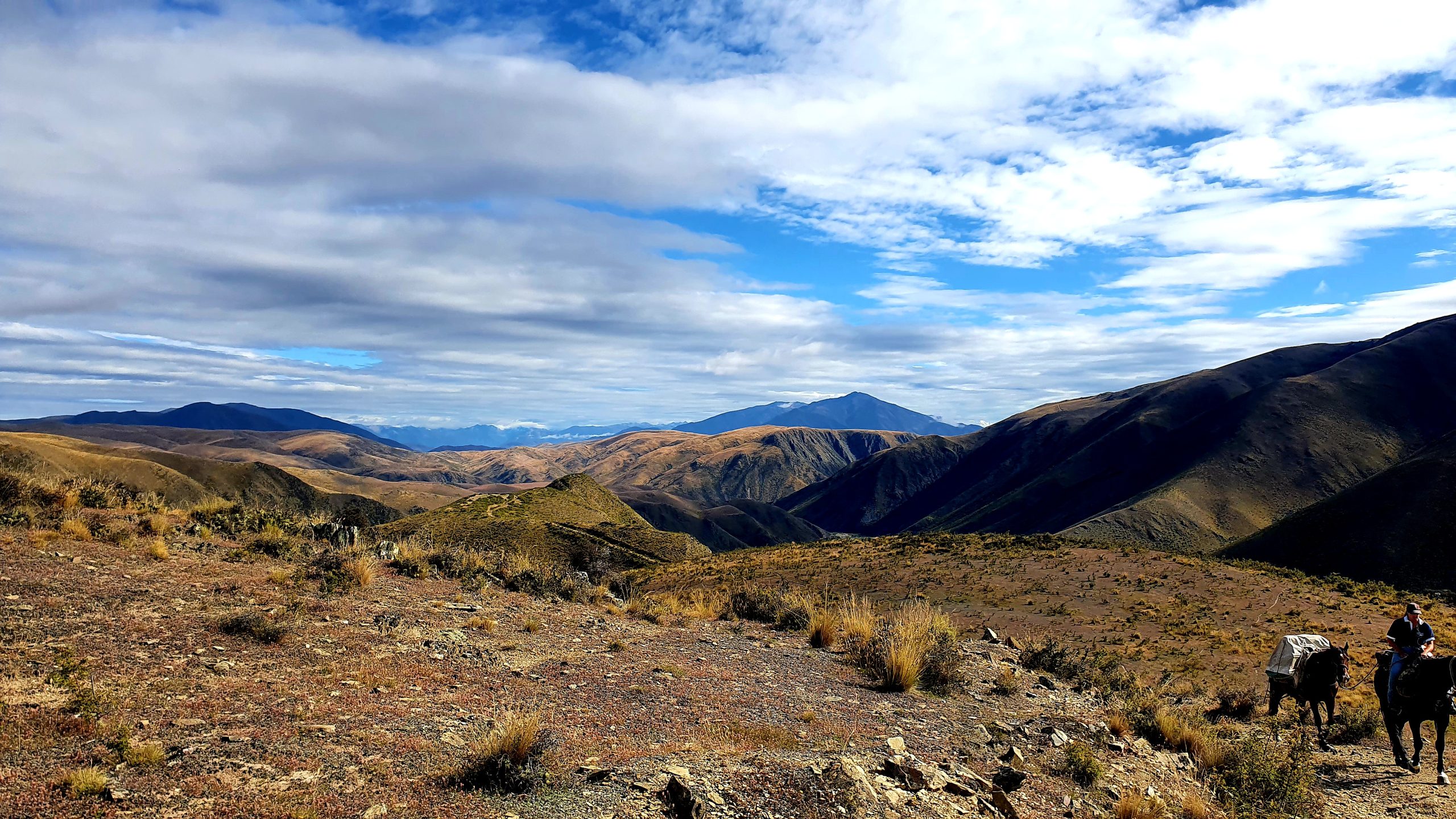 Otematata4 - Adventure Horse Trekking NZ - Adventure Horse Trekking NZ