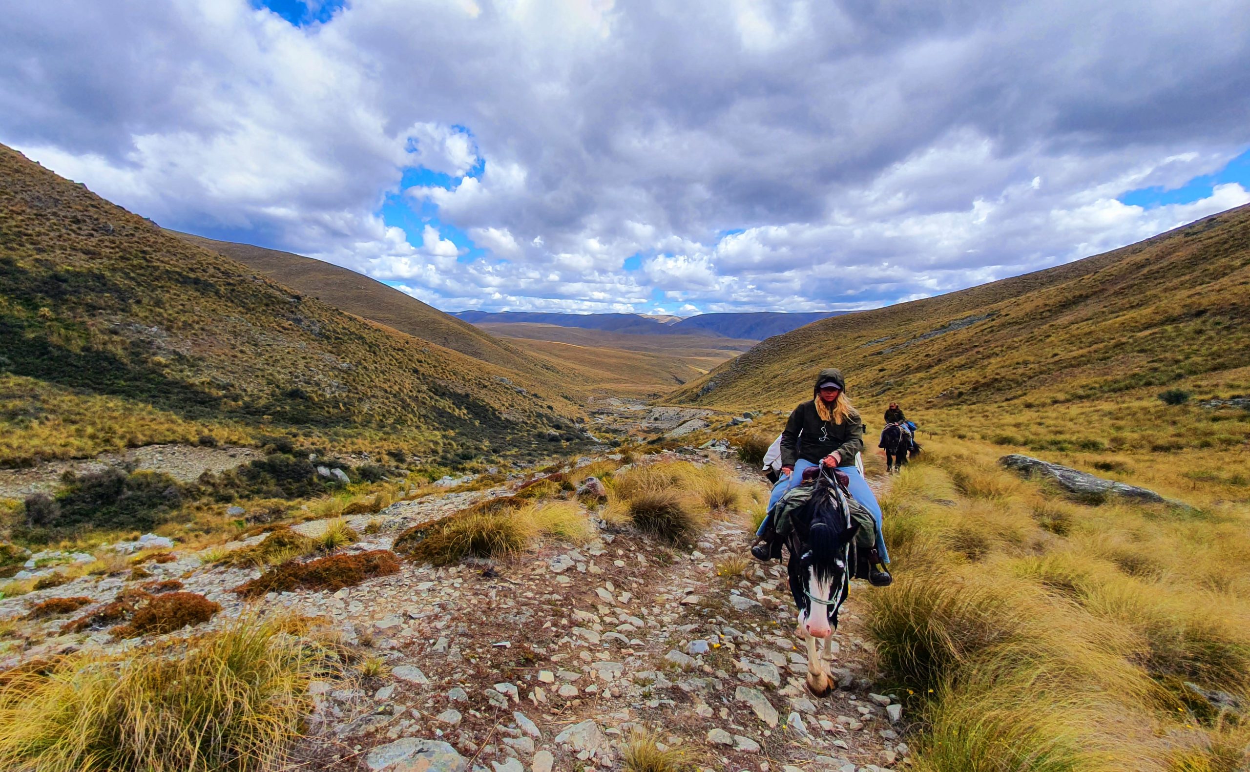 Otematata42 - Adventure Horse Trekking NZ - Adventure Horse Trekking NZ