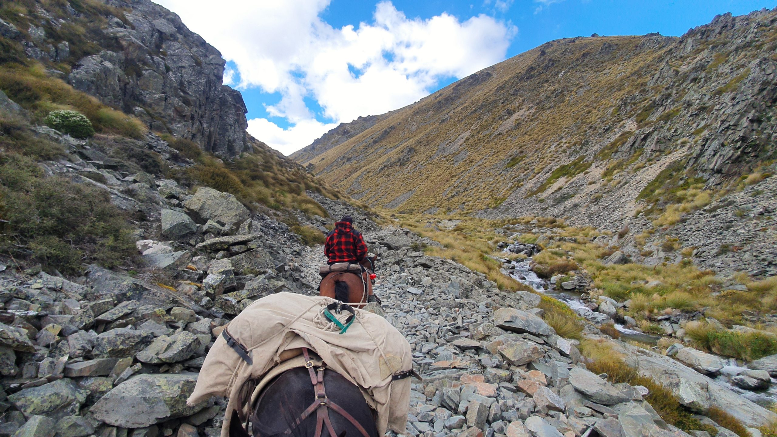 Otematata44 - Adventure Horse Trekking NZ - Adventure Horse Trekking NZ
