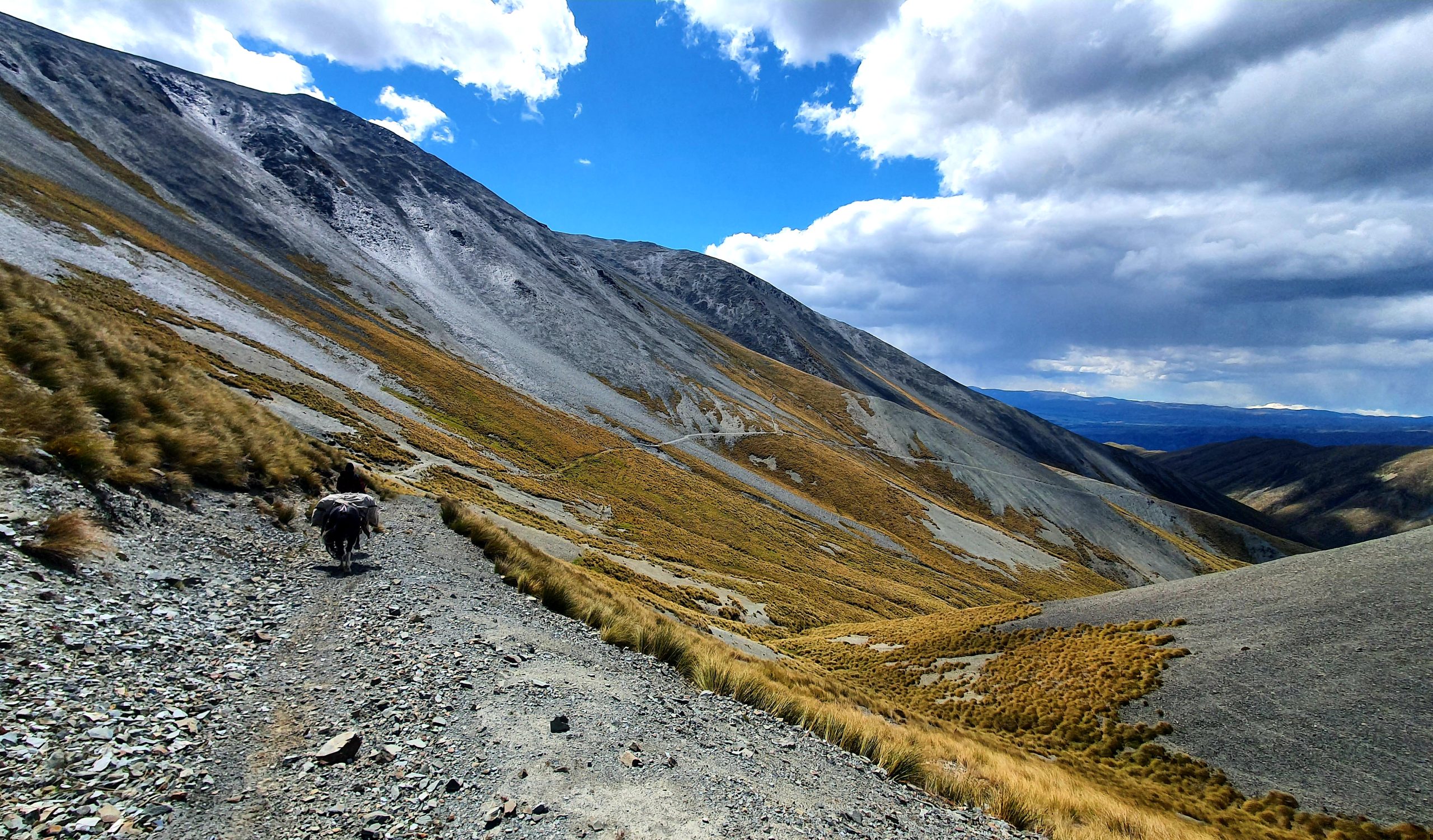 GrandTourOtematata48 - Adventure Horse Trekking NZ - Adventure Horse Trekking NZ