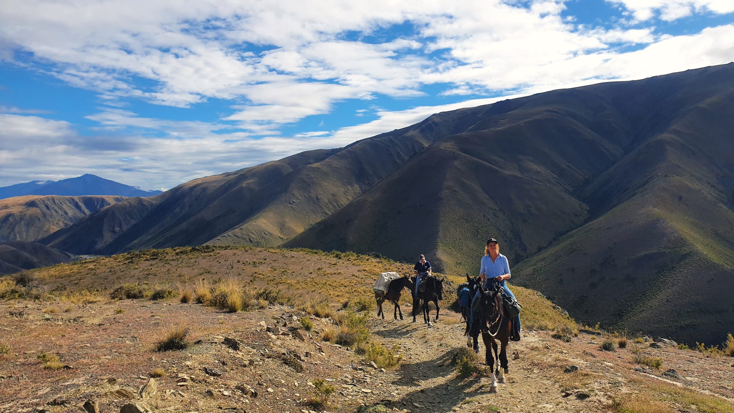 Otematata5 - Adventure Horse Trekking NZ - Adventure Horse Trekking NZ