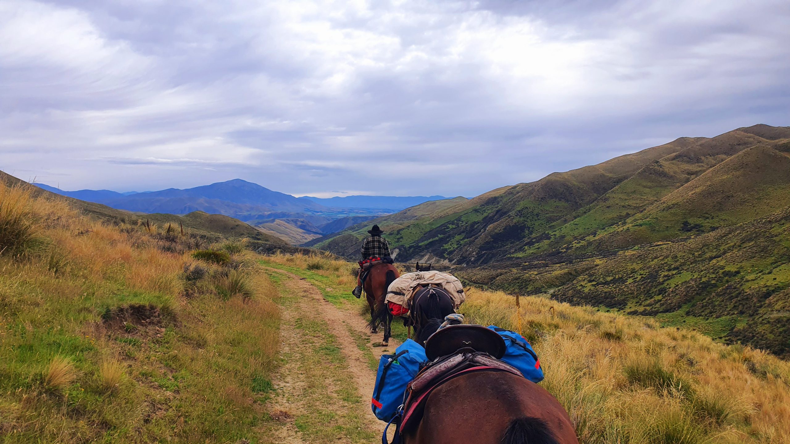 Otematata60 - Adventure Horse Trekking NZ - Adventure Horse Trekking NZ