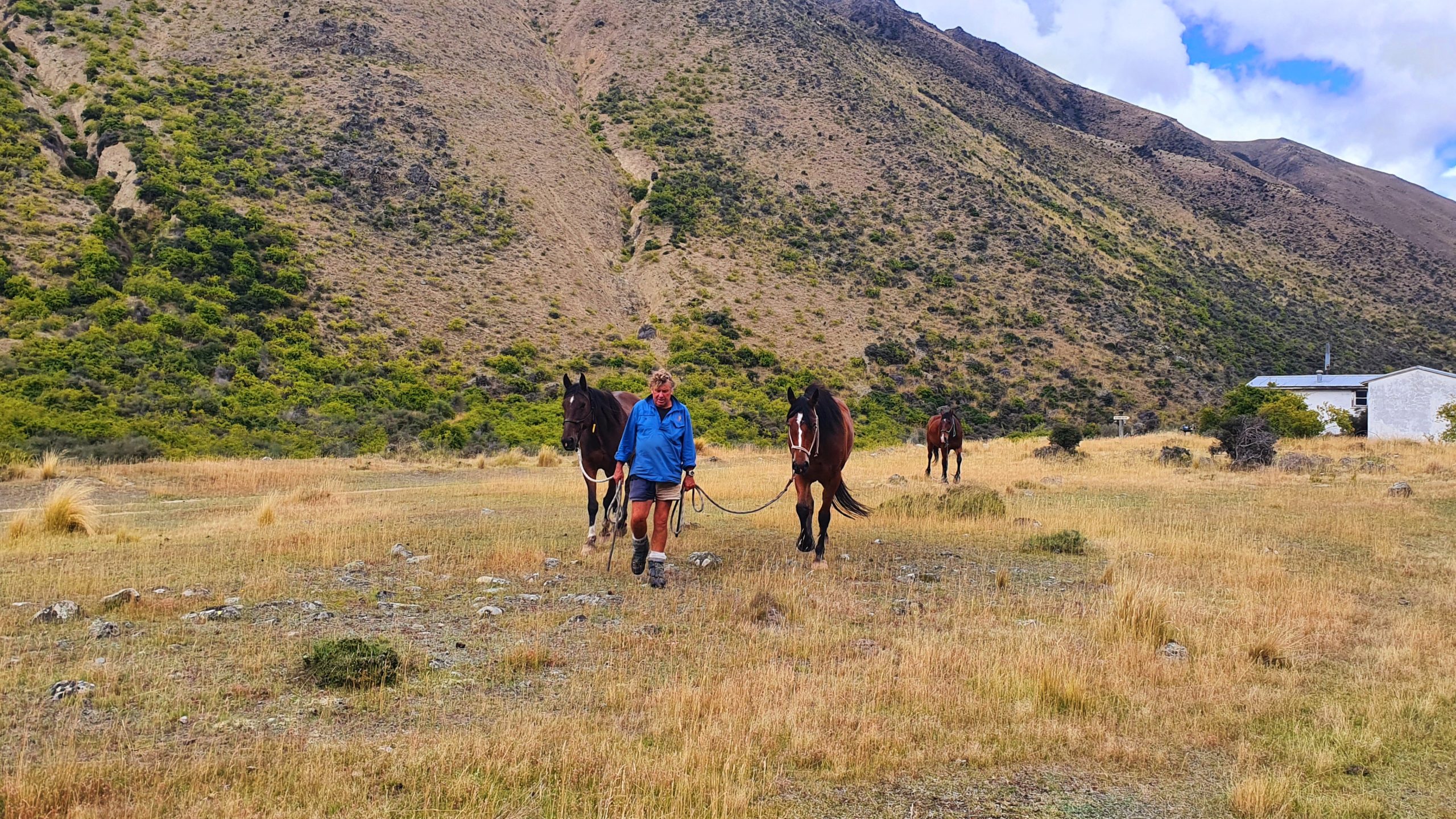 GrandTourOtematataHut3 - Adventure Horse Trekking NZ - Adventure Horse Trekking NZ