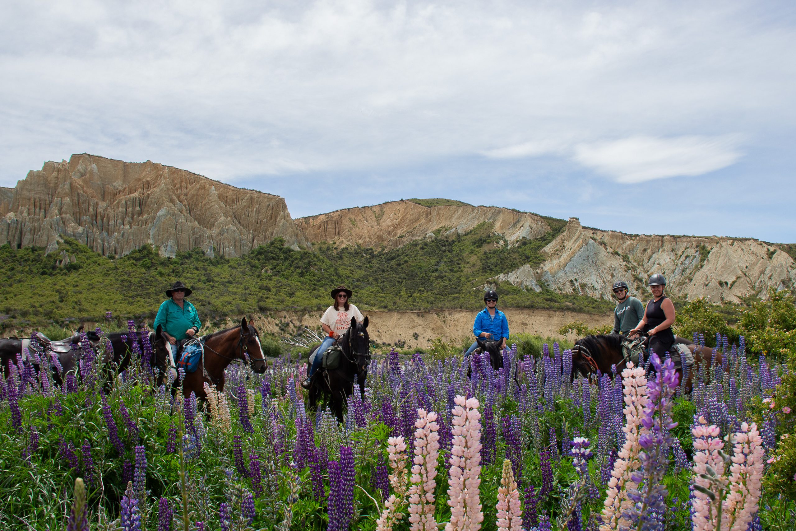 Solene_LupinLovers9 - Adventure Horse Trekking NZ - Adventure Horse Trekking NZ